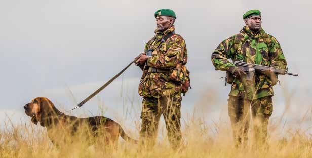 PROTECTING WILDLIFE AND PEOPLE Protecting Lewa s wildlife and neighbours is a team effort, involving highly trained security staff, vehicles, airplanes, helicopters and even bloodhounds.