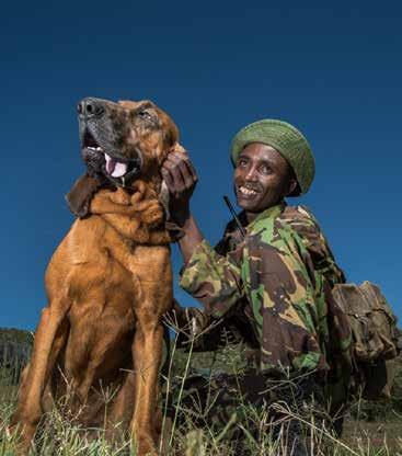 To enhance security for both people and wildlife in the region, the team works closely with the Kenya Police, the Kenya Wildlife Service and the Northern Rangelands Trust in gathering intelligence