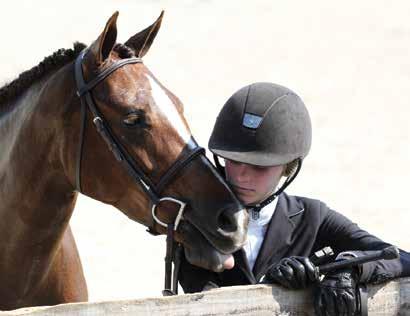 Tritcshler, who approached the second round on a score of 85.75, took full advantage of the opportunities to showcase Walter Kees Helio Rouge s talents.