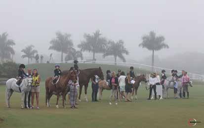 Jumper Highlights Wednesday through Sunday The 2015 Winter Equestrian Festival (WEF) began its eleventh week of competition at the Palm Beach International Equestrian Center (PBIEC) on Wednesday with