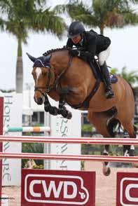 Florida Retailers Dover Saddlery Show Chic Spectrum Saddle Shop The Dressage Connection The Tackeria Winning Edge Saddlery The Horse of Course Activates salivation All natural ingredients Encourages