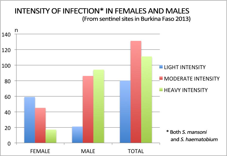 heavier infections than other age groups. Ninety-one per cent of 11 year olds with a positive sample had a moderate or heavy intensity infection. Figure 5.