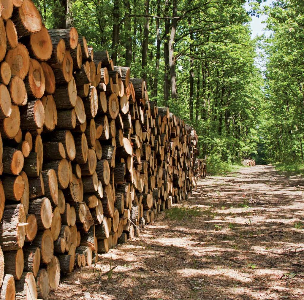 Mežsaimniecība Meža konsultāciju pakalpojumu centrs (MKPC) veic meža īpašnieku un sabiedrības informēšanu, konsultēšanu un apmācību par meža apsaimniekošanu un sniedz ar meža apsaimniekošanu