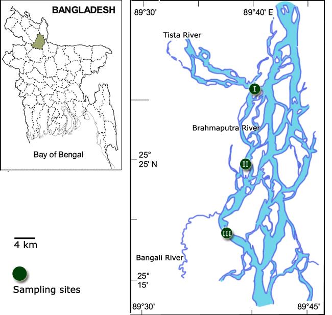 J Fish 3(3): 285-292, Dec 2015 and wetlands (locally known as beel) of north-west part of Bangladesh have been surveyed to list down the available fish and other species (Chaki et al.