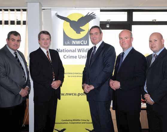 6 Review of 2009 National Wildlife Crime Unit NWCU In 2009, the strategic high level meeting expanded the hen harrier priority to encompass five key species of raptors (golden eagle, goshawk, hen