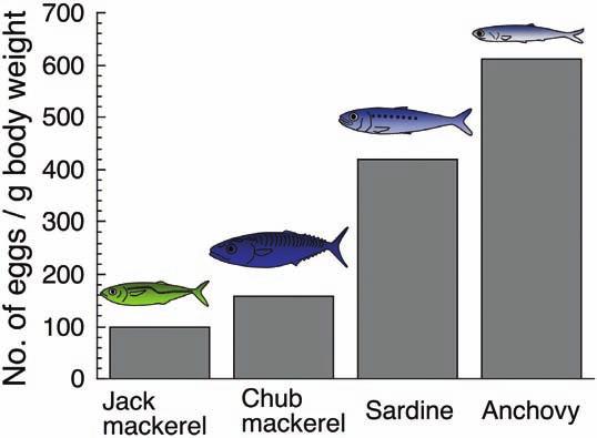 Behavioral Ontogeny of Marine Pelagic Fishes for Sustainable Management of Fisheries Resources 47 Fig. 42.