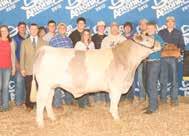 9/20/2012 REGISTRATION ERF706713 Lot 68 is a daughter of the Ashley Charolais cow that has been a standout donor in the Standridge herd.
