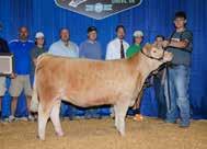 of a previous TXLE sale. She also raised the Reserve Champion ORB in San Antonio last year exhibited by Caydi Blaha that was also purchased in the TXLE sale.