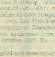 A. 1924a. The limnology of lake ipigon in 1922. Univ. Toronto Studies, BioI. 24. Pub. OntoFish. Res. Lab., 17. 1924b.