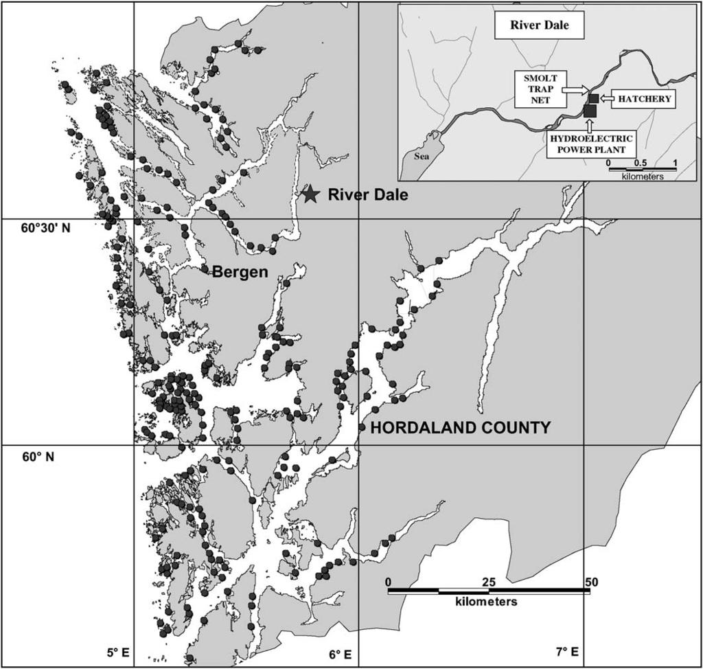 Effects of treatment for sea lice on ranched salmon 1319 Figure 1. The location of the Dale River in Hordaland County, western Norway.