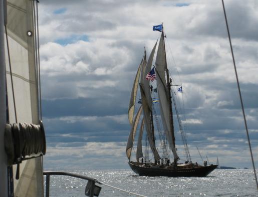 the schooner race off New