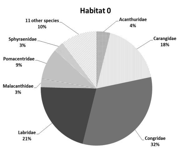 Figure 9. Pie chart showing the proportion of the number of fish for the seven most abundant families in percent for habitat categories 0, 1, 2 and 3.