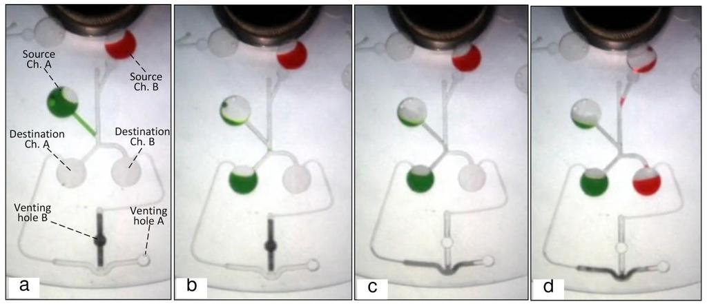 method can be connected to other microfluidic networks on the centrifugal microfluidic platform (where other processes can be performed) by implementing the VCV at appropriate points. Figure 4.
