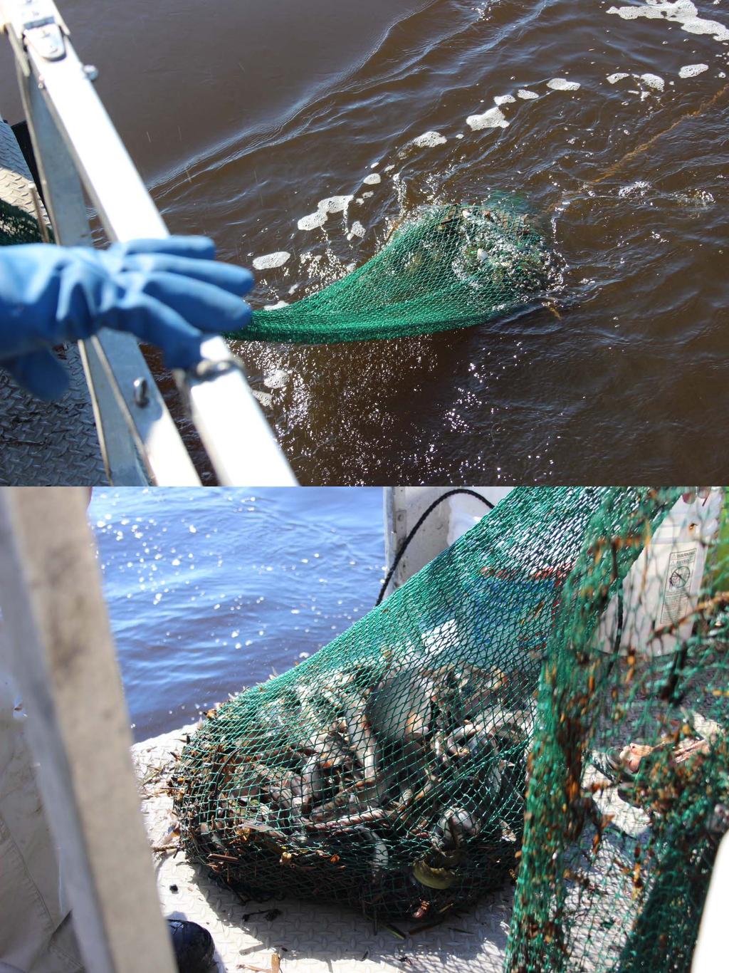 P26: Retrieving the Trawl Net