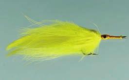 # 638,  FLY CHARTREUSE Cat.