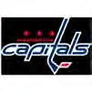 FLORIDA VS WASHINGTON BB&T CENTER CAPITALS PANTHERS ATTEND GOALTENDERS W.