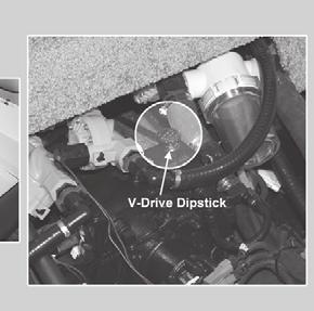 V-DRIVe fluid CHeCK MaInTaInInG fluid level V-Drive oil level should be checked regularly (such as every ten engine hours) and fluid added if necessary.