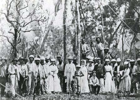 Telegraph Line Erecting the first pole in Palmerston Landing