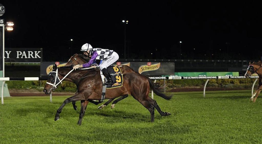 over 1550m. Jason Collet was in the saddle and he showed why he is a jockey in form by producing a patient ride before timing his run to perfection to score narrowly.