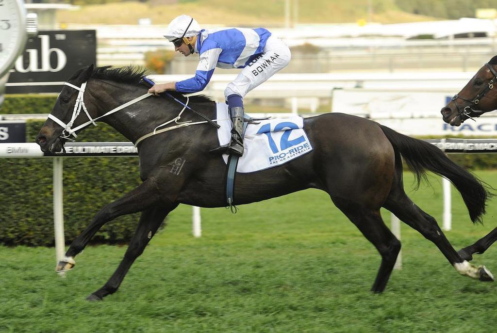 royal descent can thrive back at 1600m in myer Royal Descent (Redoute s Choice) could prove very hard to beat back at the shorter trip of tomorrow s Myer Classic (registered as Empire Rose Stakes)