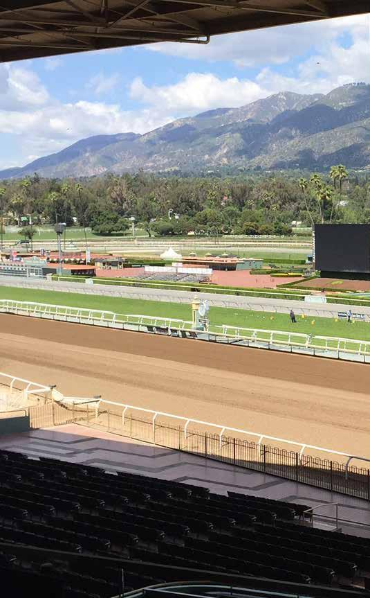 2016 BREEDERS CUP WORLD CHAMPIONSHIPS 13 CLUB TERRACE DINING The finish line is just the beginning!