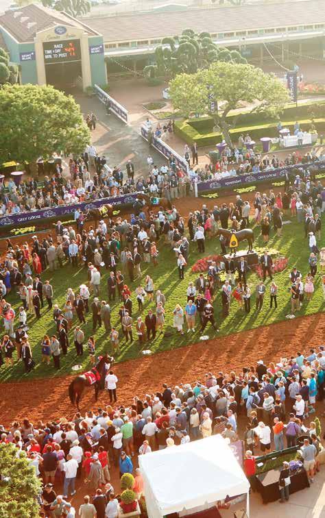 2016 BREEDERS CUP WORLD CHAMPIONSHIPS 15 SIRONA S PADDOCK VIEW DINING Enjoy the grandeur and excitement as the Championship contenders promenade through the paddock prior to every