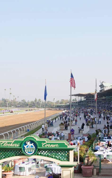 2016 BREEDERS CUP WORLD CHAMPIONSHIPS 17 CLOCKERS CORNER Clockers Corner is one of the most iconic sections of historic Santa Anita Park.