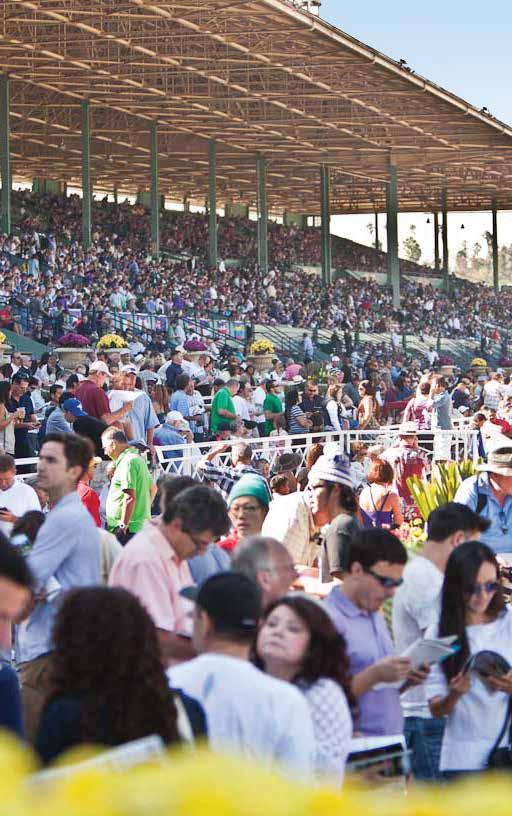 18 2016 BREEDERS CUP WORLD CHAMPIONSHIPS GRANDSTAND RESERVED SEATS Located on the third floor mezzanine level of the grandstand, these open-air, stadium style seats offer some