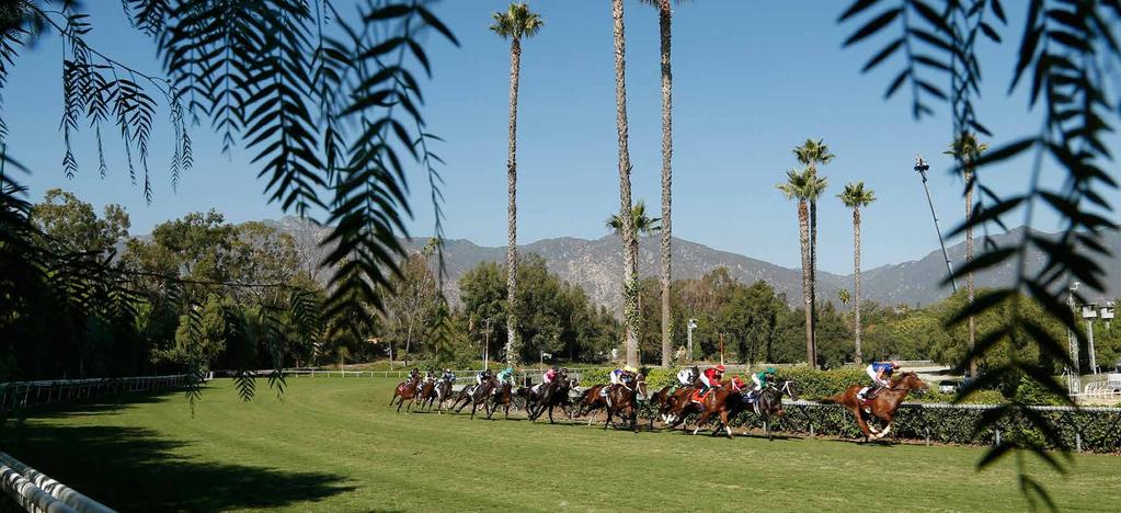 6 2016 BREEDERS CUP WORLD CHAMPIONSHIPS ABOUT SANTA ANITA PARK Nestled at the base of Southern California s San Gabriel Mountains, Santa Anita Park, located just east of Los Angeles, has long been
