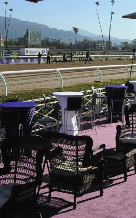 2016 BREEDERS CUP WORLD CHAMPIONSHIPS 9 THE VIEW Location, Location, Location. The View puts fans on the Rail, next to the Winner s Circle, near the finish line!