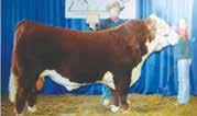 Champion Female LPH My Girl A7 C72 from Leonard Polled Herefords Champion Bull SC Rollo 505 ET from Sinclair Conley Special Continued from page 1 still a high school student in Franklin County.