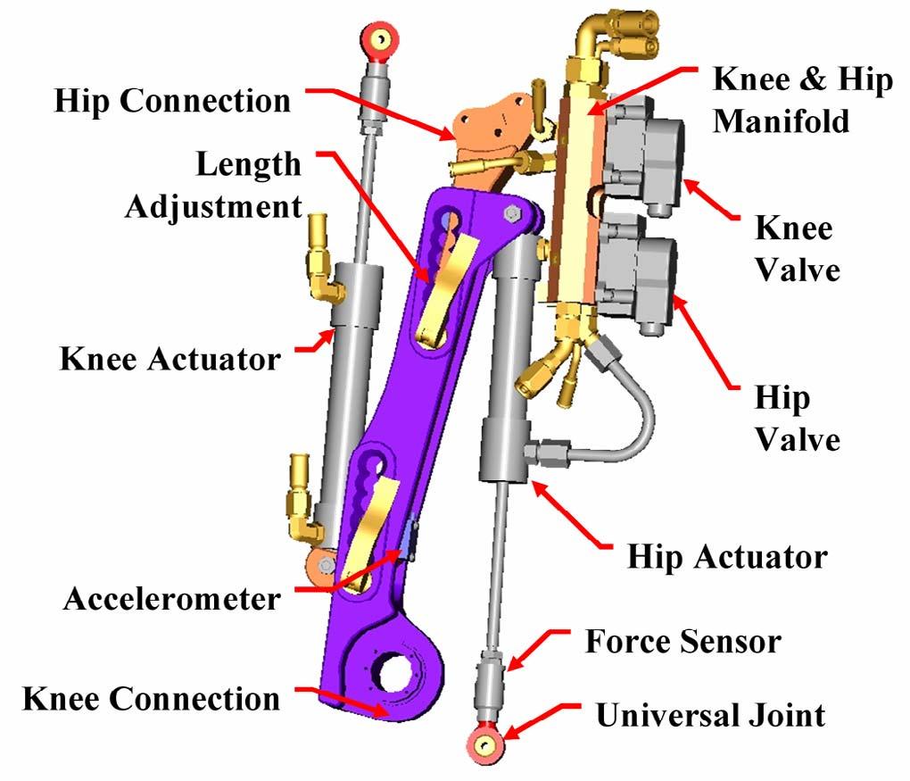 The actuator, manifold, and valve for the ankle are mounted on the shank, while the actuators, manifold, and valves for the knee and hip are on the thigh.