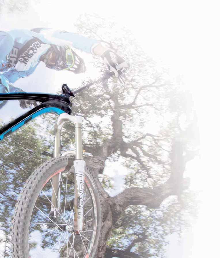 Enduro bearings All the pivots turn on high quality Endure Bearings, specifically developed to support large workloads and low bearing spee.