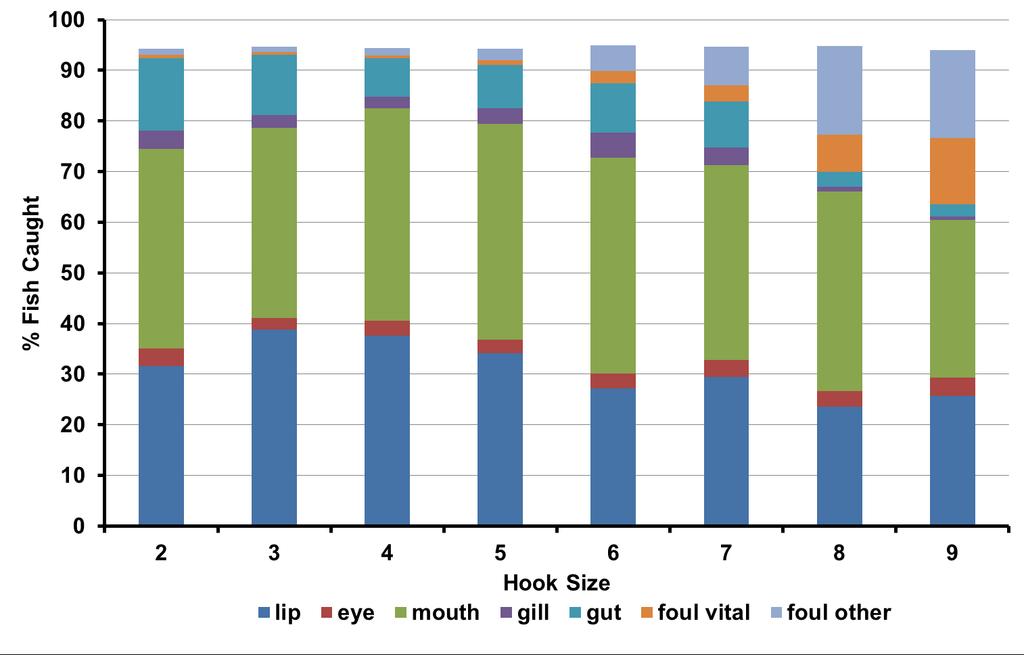 Results, New Jersey Proportion of discarded flounder hooked at certain body locations by each hook size.
