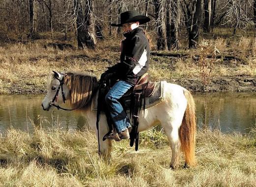 Very quiet, easy to handle and been trail ridden. He crosses ditches, water and started roping. This is a nice palomino gelding.