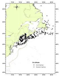 NH Wildlife Action Plan Habitats Marine Distribution Map Current Species and Habitat Condition in New Hampshire Key populations of this species are located outside state jurisdictional waters.