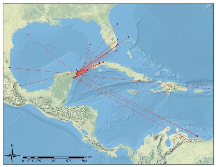 Page 126 64 th Gulf and Caribbean Fisheries Institute migrate throughout the Caribbean where they have the potential to generate economic benefits to other localities with a sport fish industry
