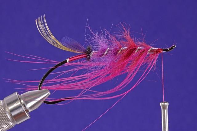 The hackle then follows the