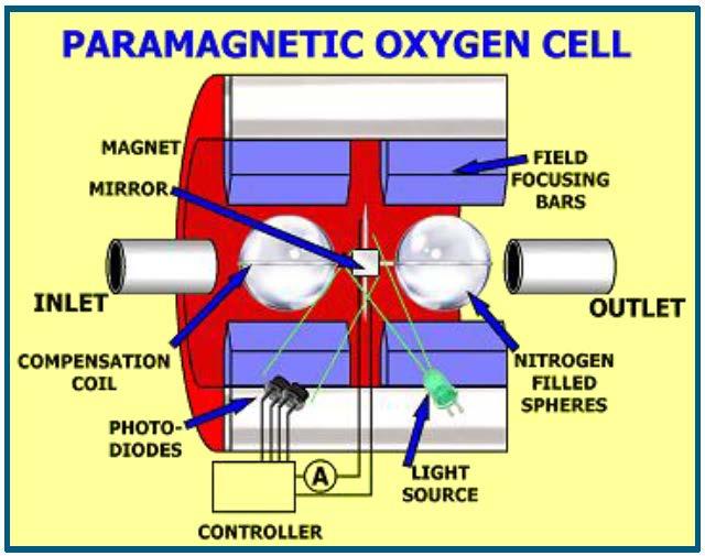 Like the galvanic cell above, a porous membrane allows the oxygen to diffuse into the wet cell.