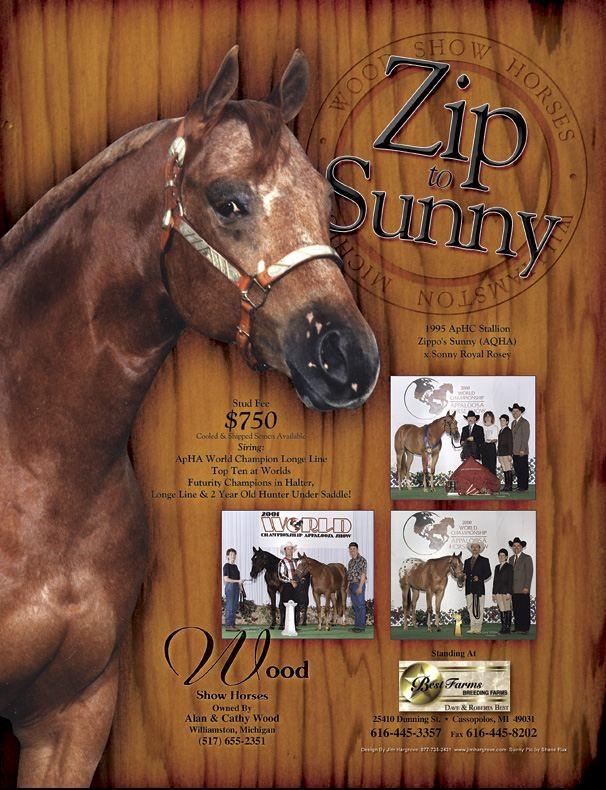 S33 Zip To Sunny 1995 ApHC Chestnut w/blanket Sire: Zippo s Sunny (AQHA) Dam: Sonny Royal Rosey Advertised Fee: Private Treaty Shipped Semen: No S34 A