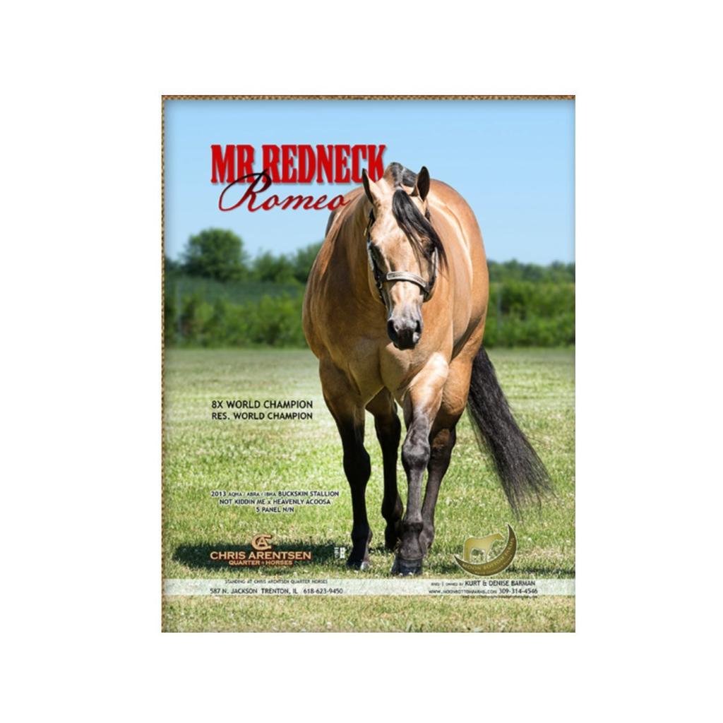 $500 Shipped Semen: No Collection Fee: None Sold on 2016 auction: $275 Arentsen Quarter Horses Trenton, IL 2017 Unanimous IBHA & ABRA World Champion 8 X Reserve