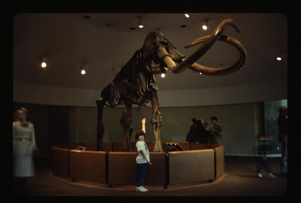Imperial mammoth,