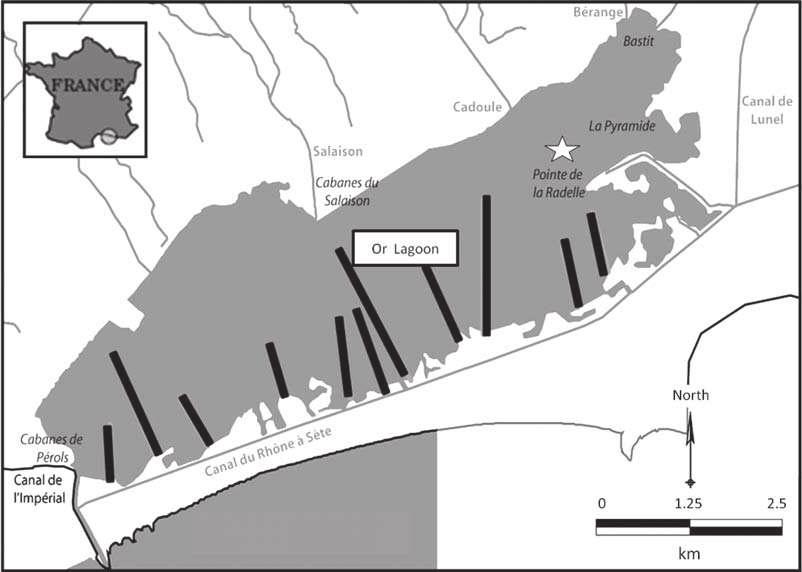 Figure 1. The Or Lagoon, showing the locations of the fixed net barriers (black bars) and the release location (star). tip via the Grau de Carnon, a channel 1050 m long, 15 m wide, and 1.50 m deep.