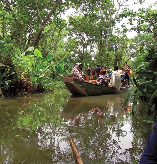 The threatened swamp forest of Lokoli, Benin, habitat of Ceriagrion citrinum (VU) Photo: Séverin Tchibozo 5.