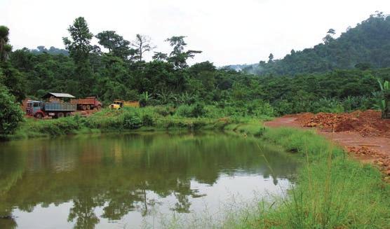 Mining, such as for gold on the fringes of Ghana s Atewa Forest Reserve, increases landscape heterogeneity and thus welcomes dragonfly species that might otherwise be absent.