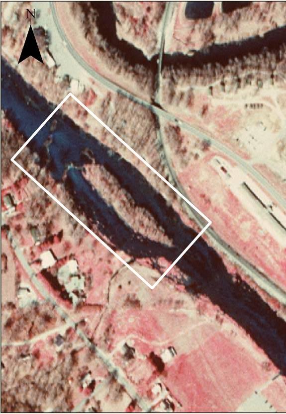Aerial photograph of Peterson et al. (1988) collection site 2; white-outlined box represents the approximate area of habitat searched.
