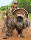 This information will be key to making sure the Eastern wild turkey is here for generations to come. N. Gunter Guy, Jr.
