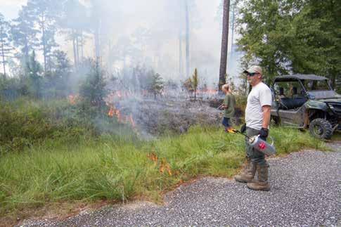 CONTROLLED BURNING FOR WILDLIFE Growing season burns take place from early spring to late summer. A growing season burn is most often used to control choking underbrush in a stand of mature trees.