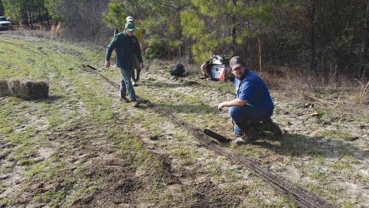 ADCNR personnel in cooperation with Auburn University researchers establish a cannon net site in preparation for capturing turkey on the study areas.