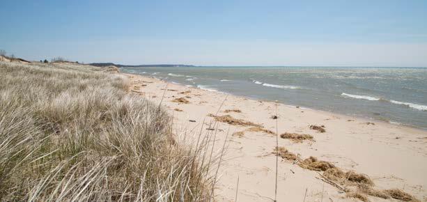 There are 355 modern campsites up for grabs at Ludington State Park, as well as more remote, rustic campsites for those who really love to rough it.